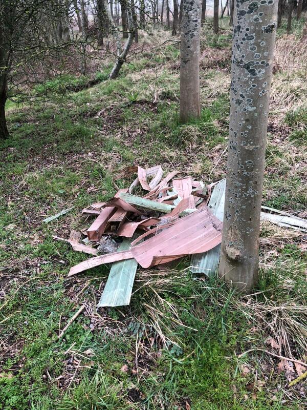 Pile of plastic tree guards in woodland