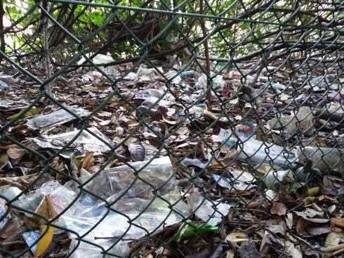 Lots of rubbish intermingled with leaves by a wire fence