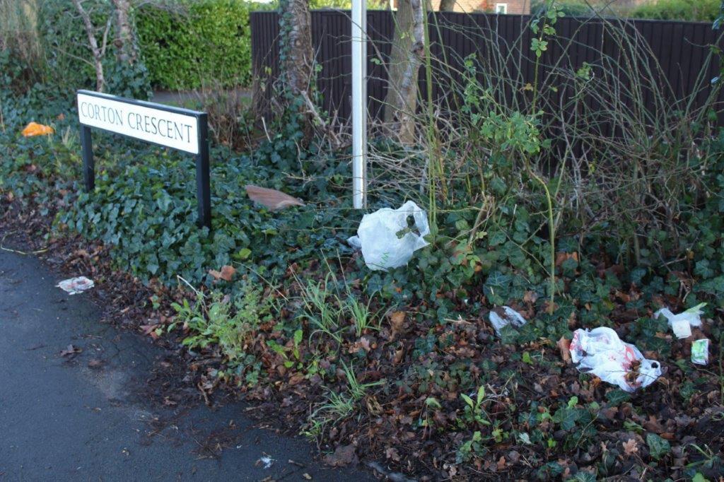 Rubbish strewn in the foliage besides a road sign