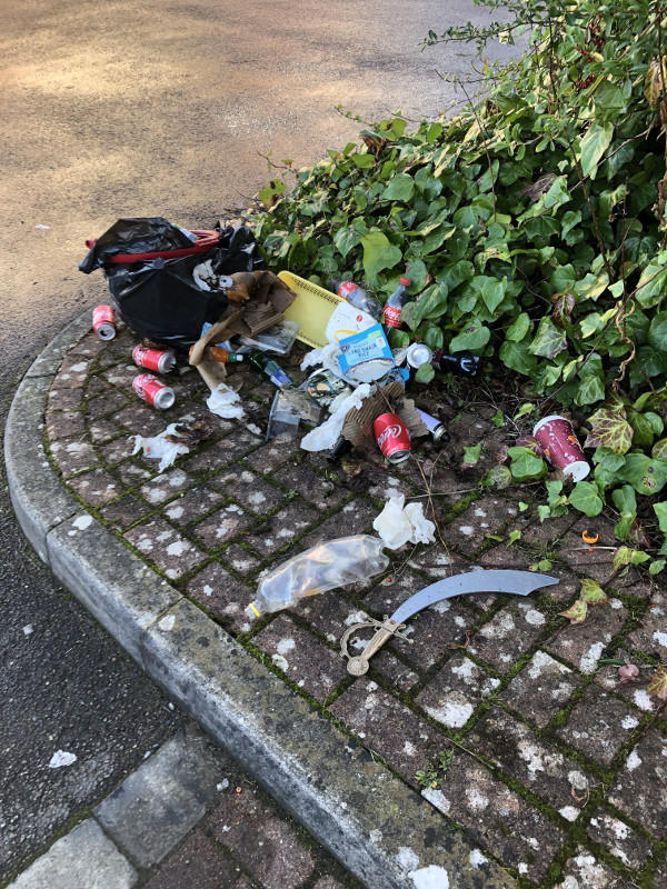 Rubbish strewn on a street corner