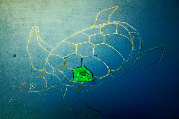 Plastic turtle art