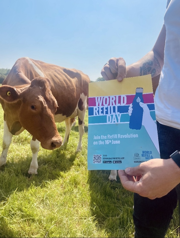 Cow at Berkeley Farm next to World Refill Day poster