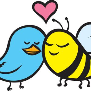 Birds and Bees show logo