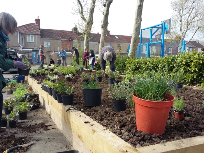 Putting in plants at Cambria Bridge