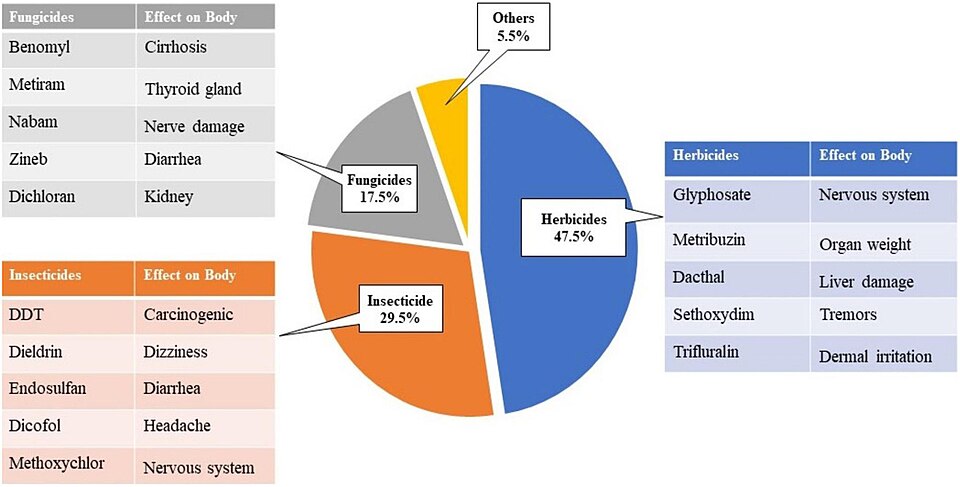 Effects of pesticides on the human body