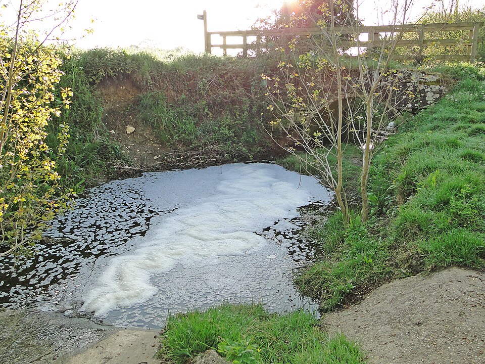 Pollution in the River Deben in Suffolk