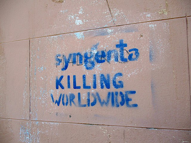 Graffiti: 'Syngenta killing worldwide'