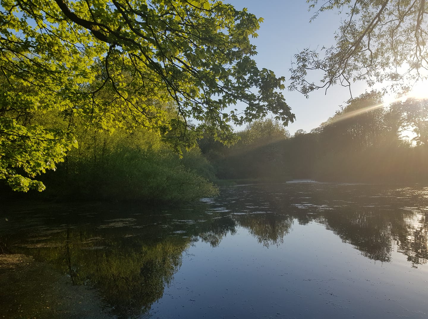 Pond at Queen's Park