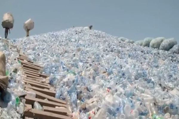 A mountain of plastic bottles.  Recyclers climb makeshift stairs with large sacks full of bottles.