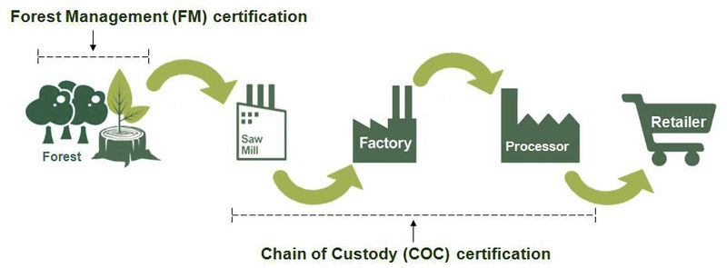 FSC chain of custody diagram shows forest to saw mill to factory to processor to retailer