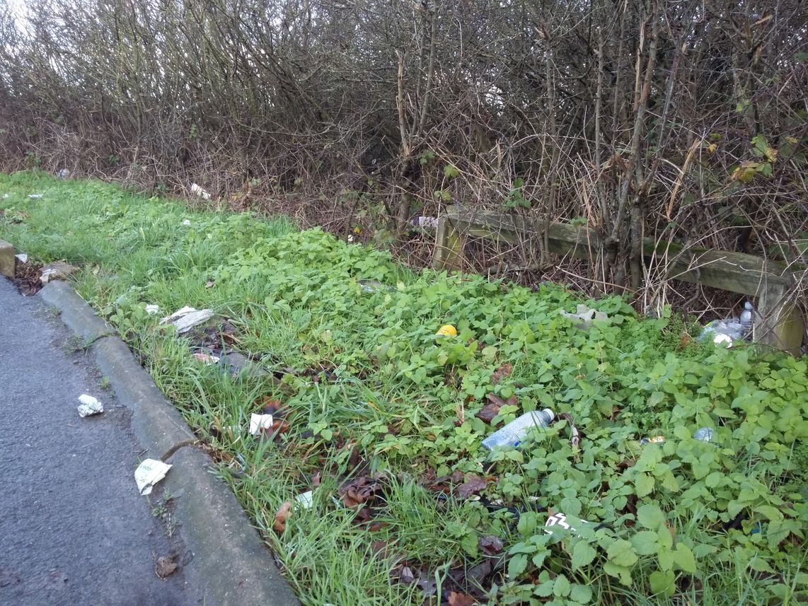 Heavy littering on the grass verge of a roundabout