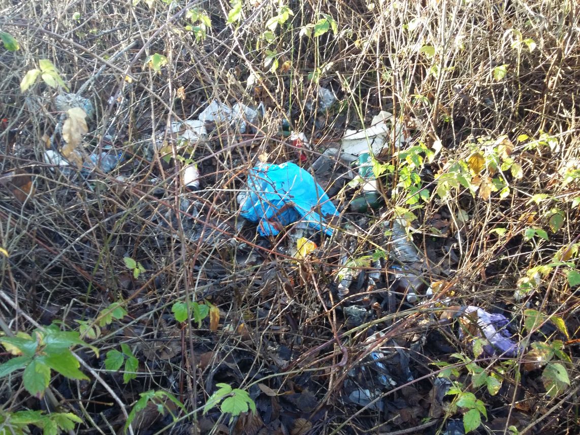 Medium view of a lot of rubbish in some bushes