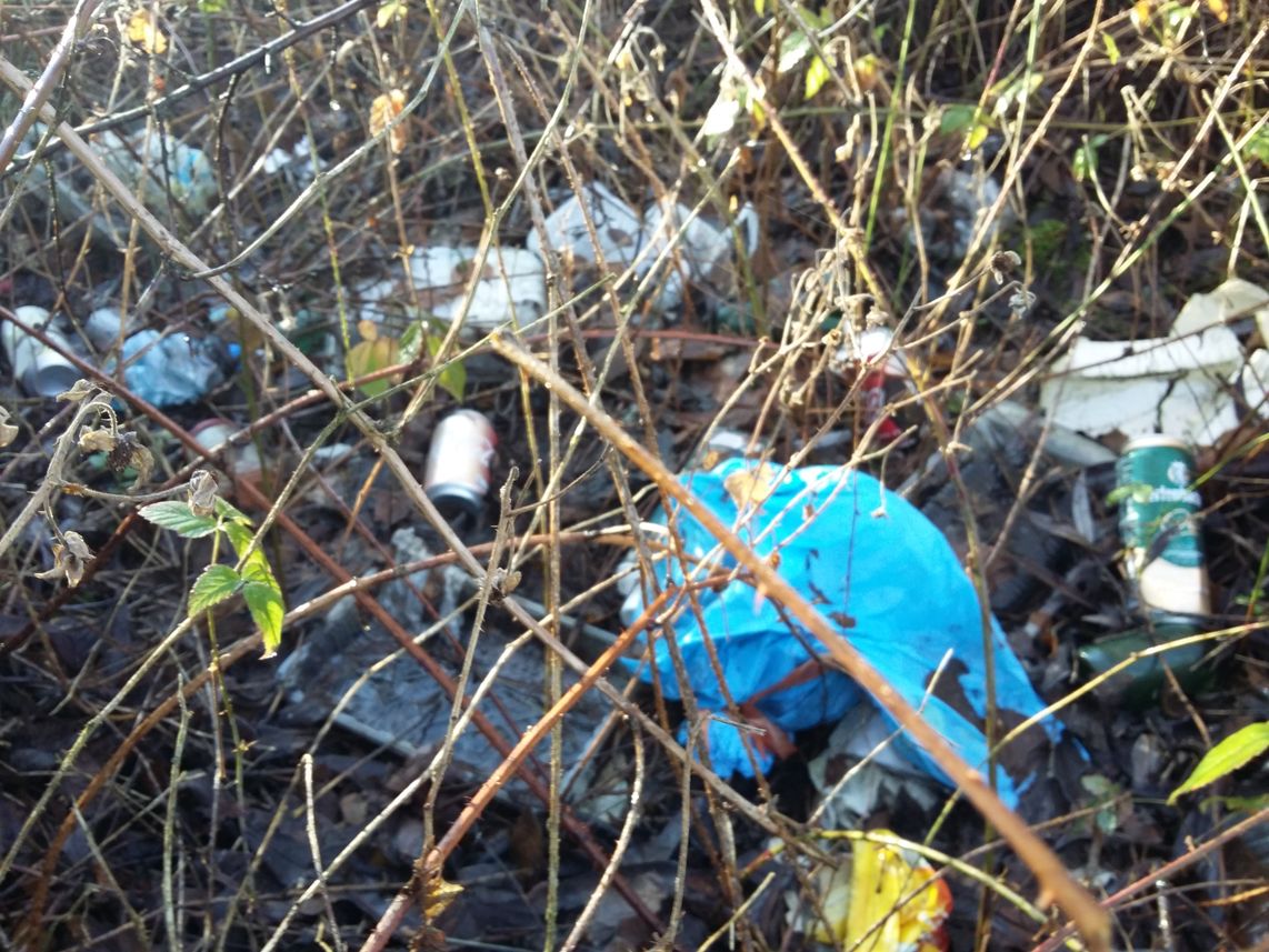 Closest view of a lot of rubbish in some bushes