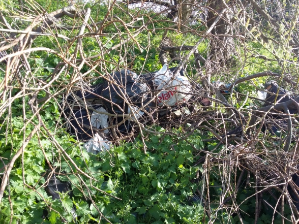 Bags dumped deep in bushes