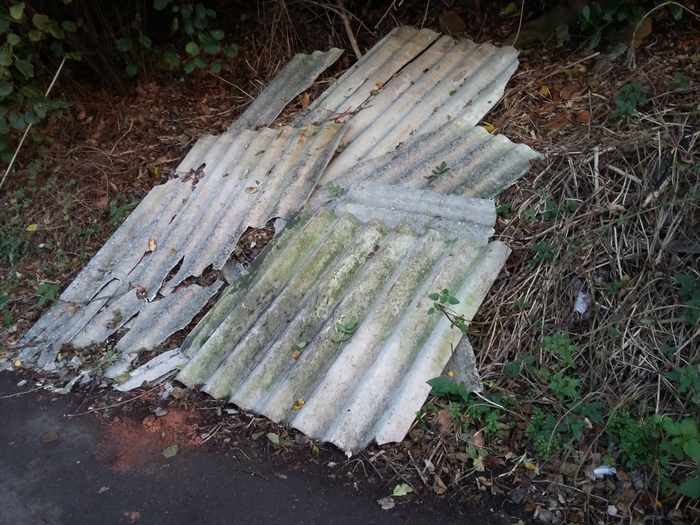 Broken sheets of asbestos dumped in woodland