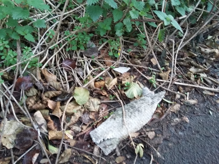 Small fragments of asbestos in a verge
