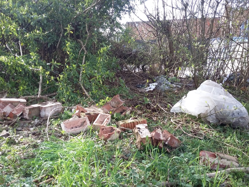 Bricks found dumped in bushes on an area of grass