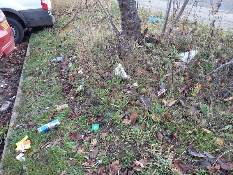 Grass verge, next to car park, is covered in litter