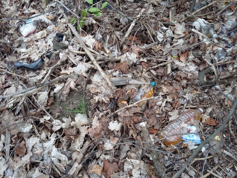 Woodland area covered in plastic bottles