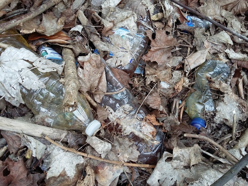 Woodland area covered in plastic bottles