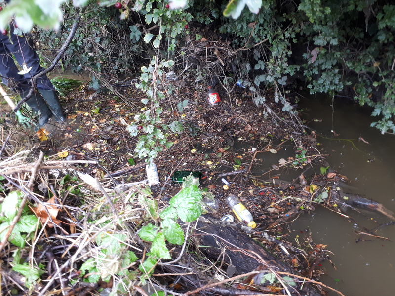 Foliage and heavy litter in the stream