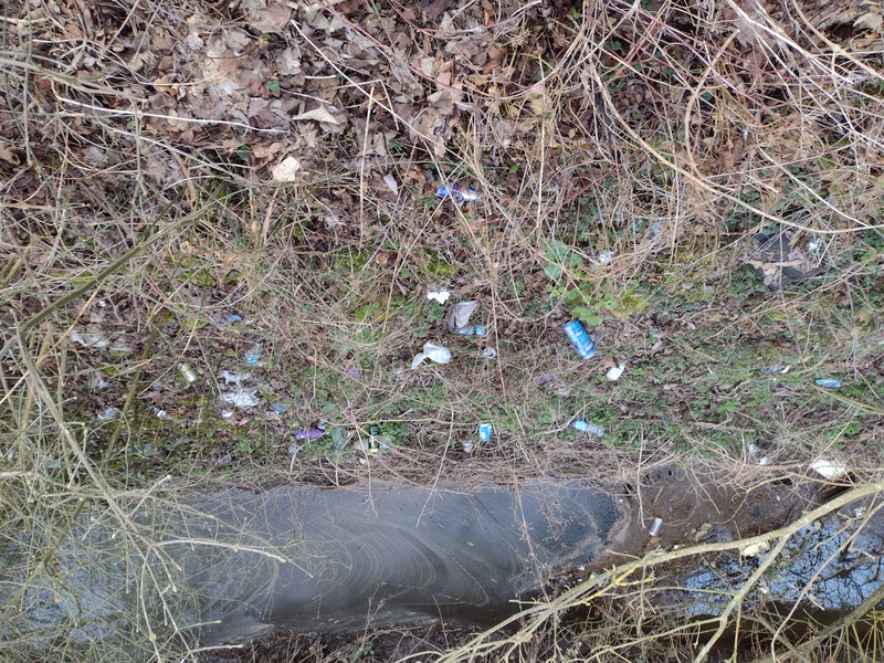 Heavy littering on the river bank