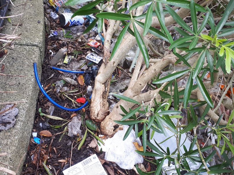 Vast amount of litter in bushes