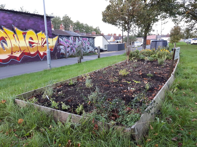 New herb garden