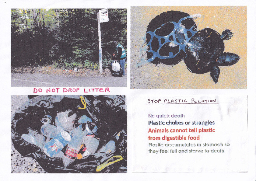 Poster made by Moya Pinson.  Split into 4 sections.  1. A person picking up litter by a bus stop.  2. A full back of collected litter.  3. A 	turtle with a 4 pack can holder around its shell.  4. It reads, 'Stop plastic pollution.  No quick death.  Plastic chokes or strangles.  Animals cannot tell plastic from digestible food.  Plastic accumulates in stomach so they feel full and starve to death.'