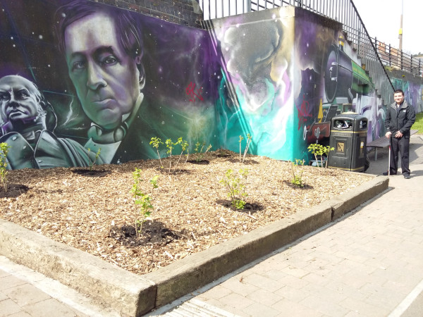 A litter picker stands in a litter free area by fruit bushes planted in a raised flower bed by a large graffiti mural
