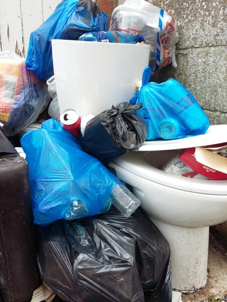 A dumped toilet covered in and full of rubbish