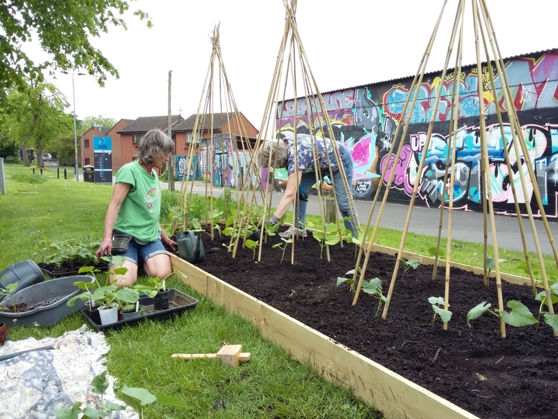 Two people planting in a raised flower bed with bean poles