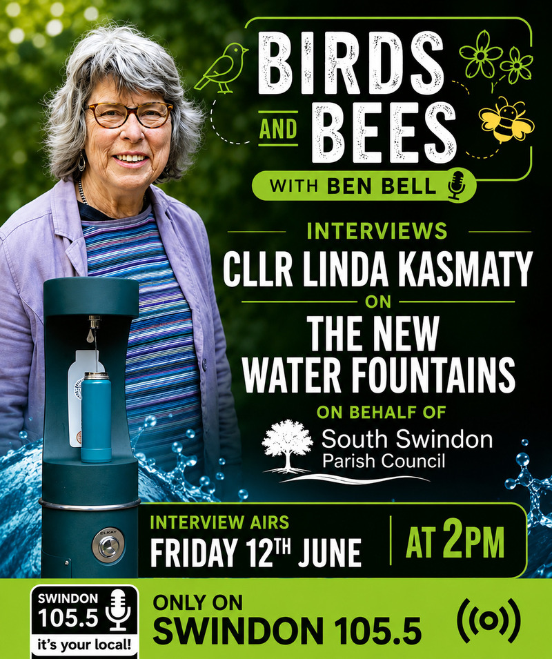 Birds and Bees show promotional poster